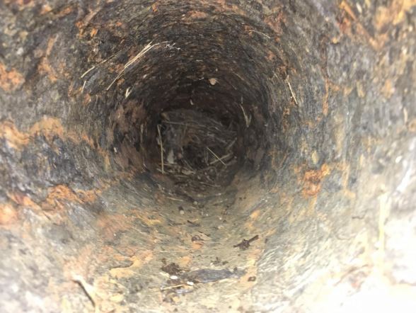 Image of blocked pipe through video inspection